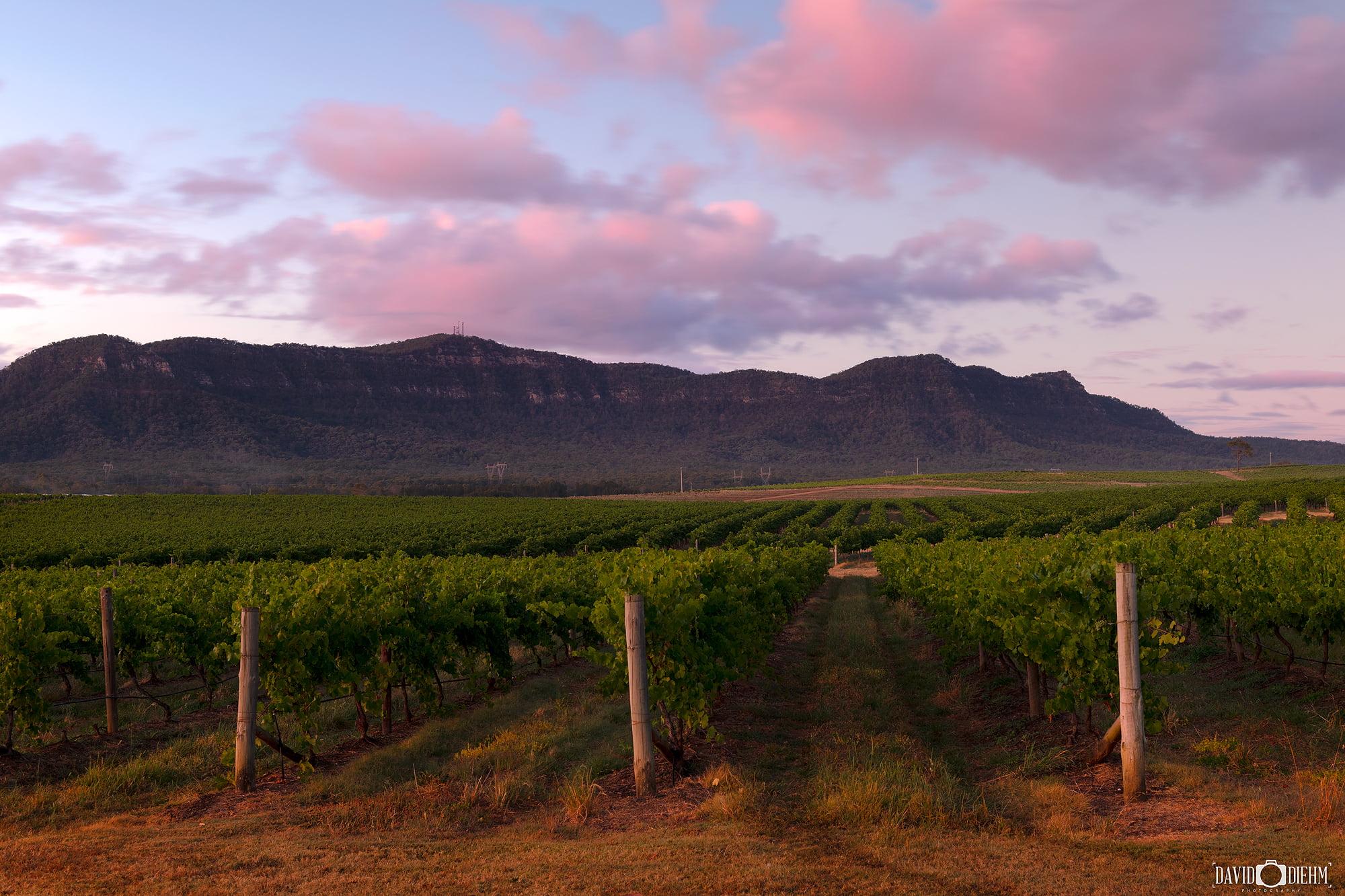 Hunter Valley Sunrise David Diehm Photography