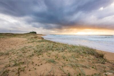 Dunes Bathed in Light