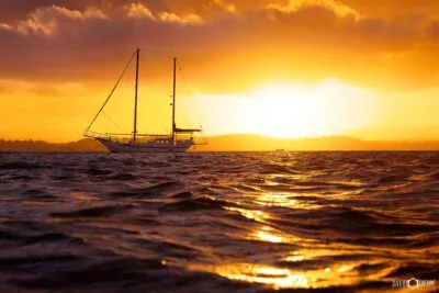 Last Light
