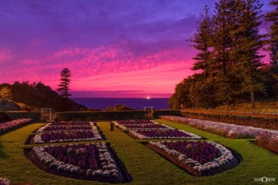 King Edward Park Flowers