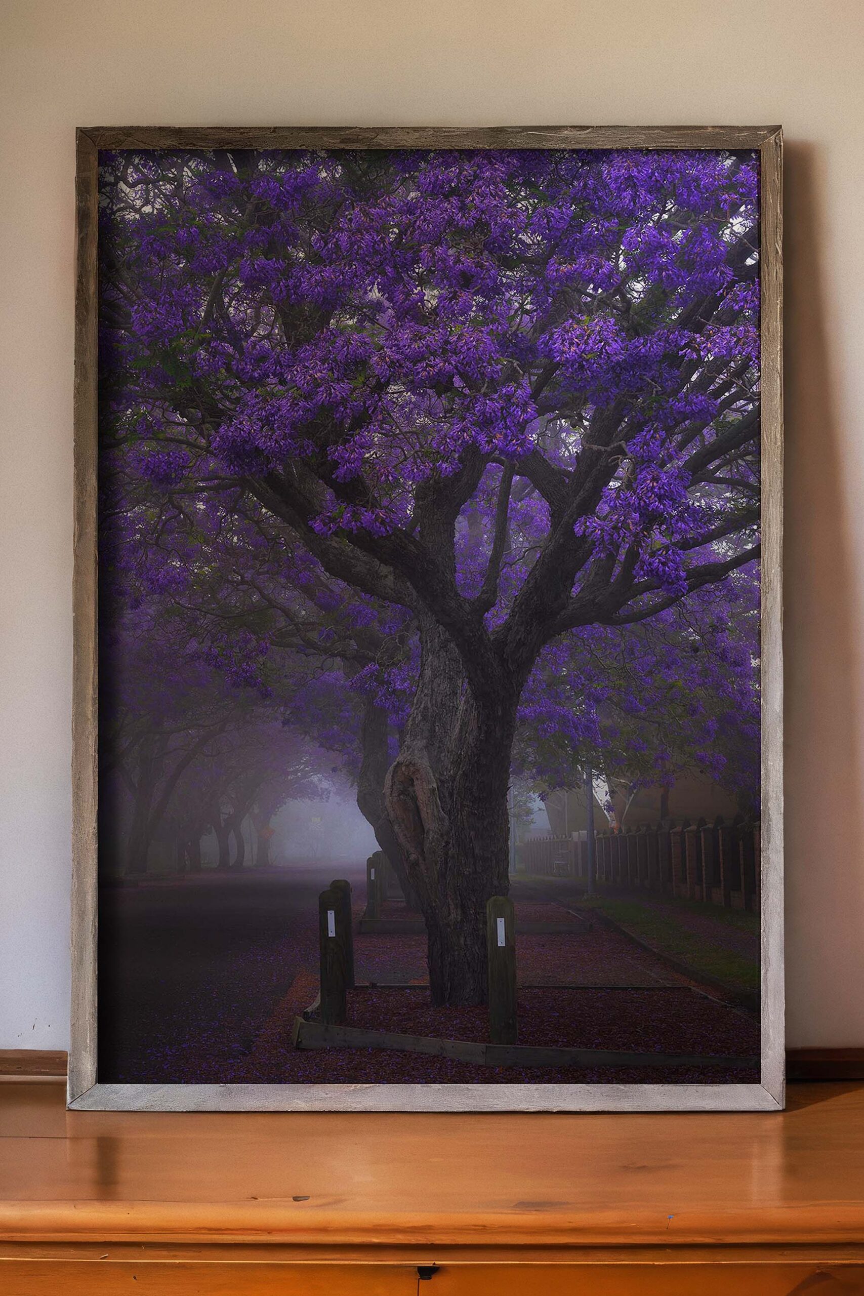 Jacaranda Portrait - Raymond Terrace