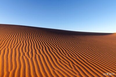 Desert Sands - Worimi Conservation Lands