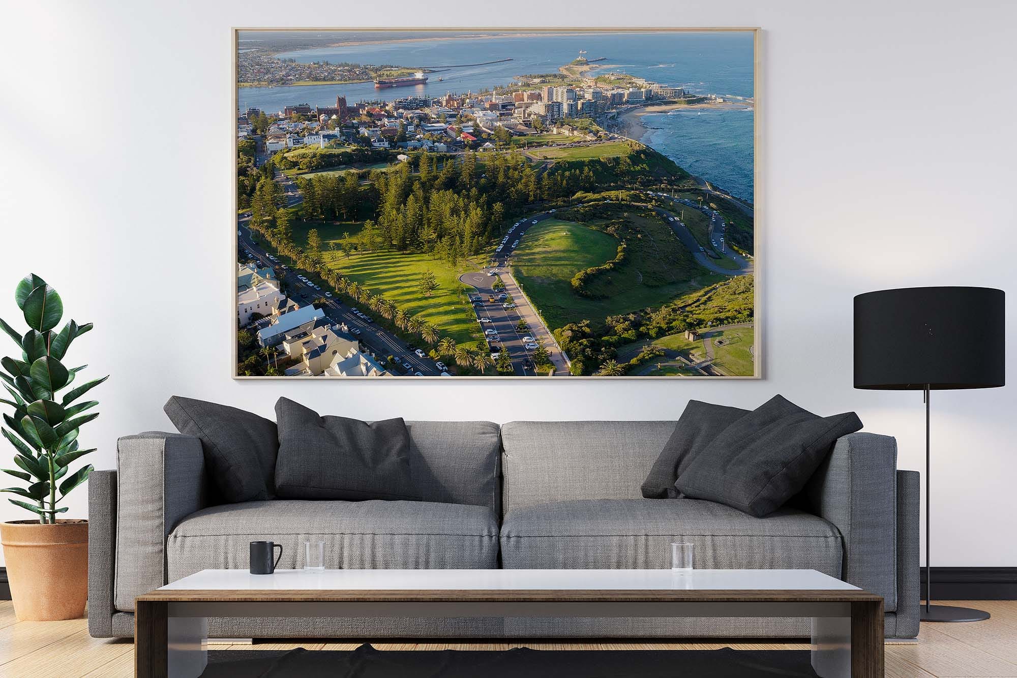 King Edward Park Aerial