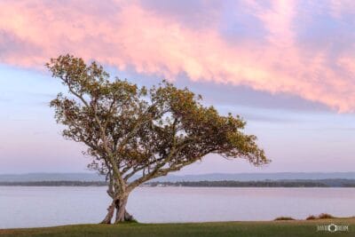 Shingle Splitters Point