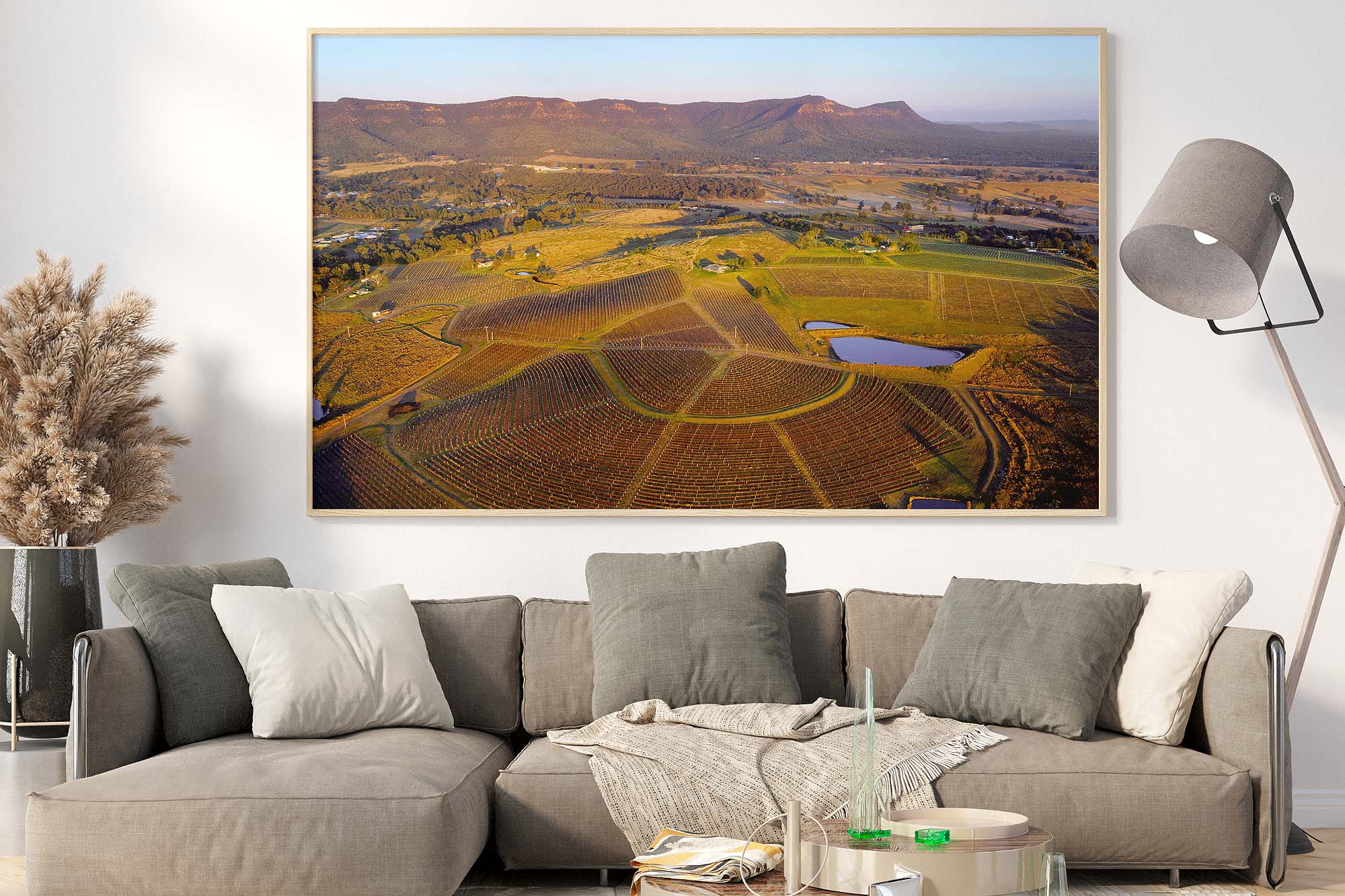 Hunter Valley aerial wall art image