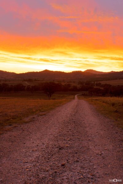 New England countryside farm scene in New England region NSW featuring cattle grid and stunning sunset over rural paddocks