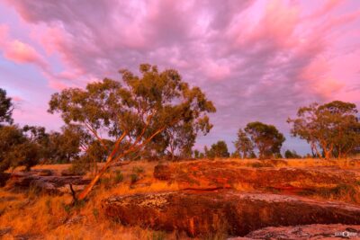 Sunrise over rural Griffith viewed from a scenic hill overlooking country farmland and open landscape