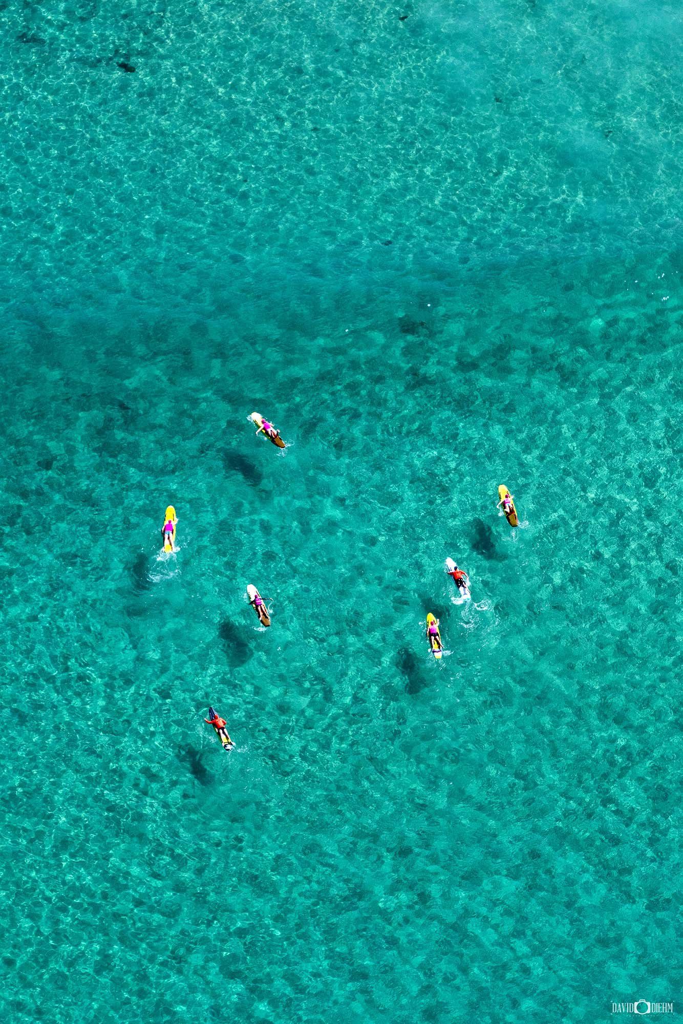 Aerial photograph of surfboards and surfers in turquoise water at Bondi Beach in Sydney, captured from above.
