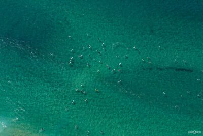 Aerial photograph of surfers riding waves in the ocean at Bondi Beach in Sydney, capturing the surf action and coastline from above.