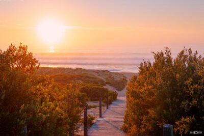 South Coast NSW beach sunrise at Wairo Beach with wooden boardwalk leading through dunes and golden morning sky