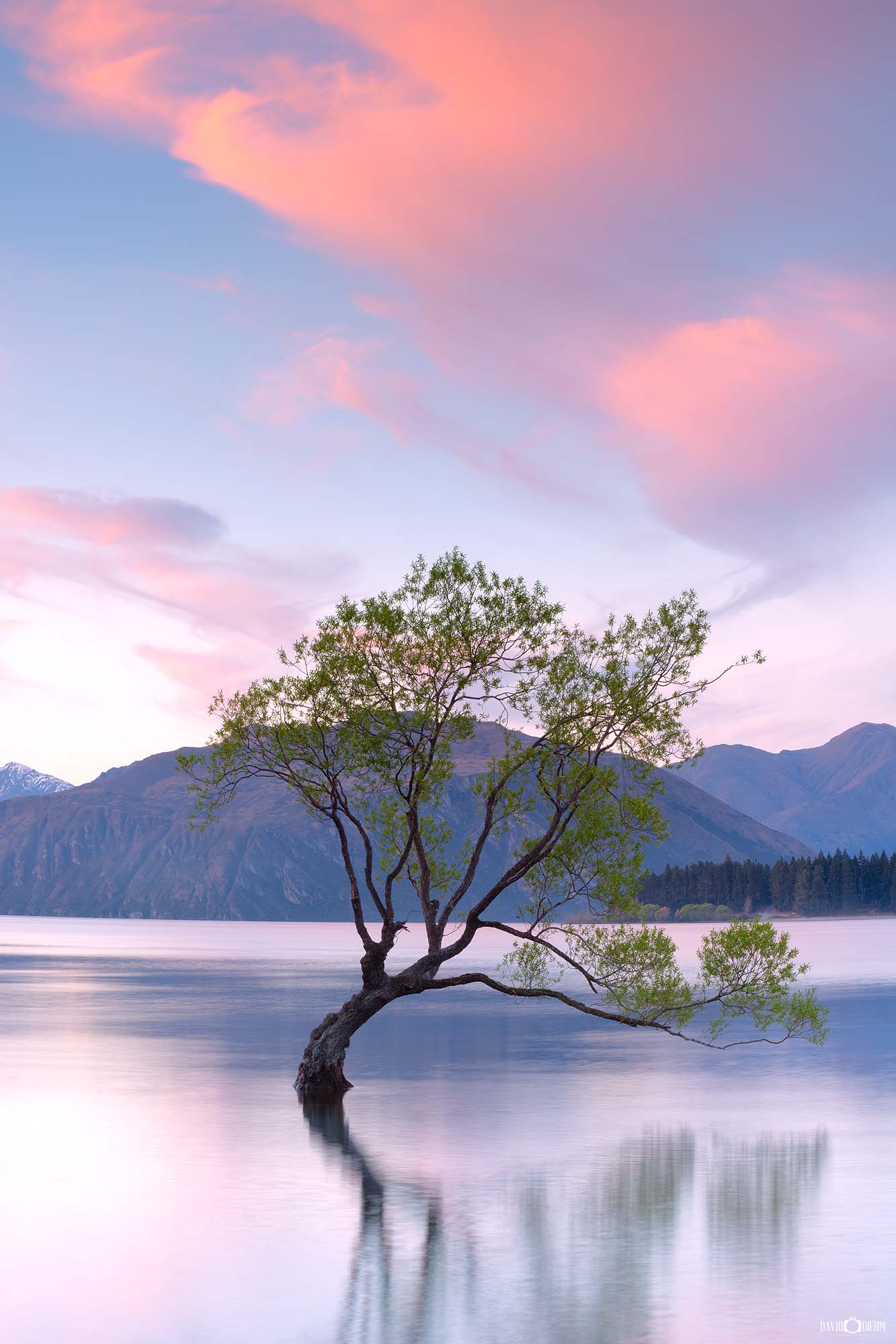 Lake Wanaka New Zealand Photography prints