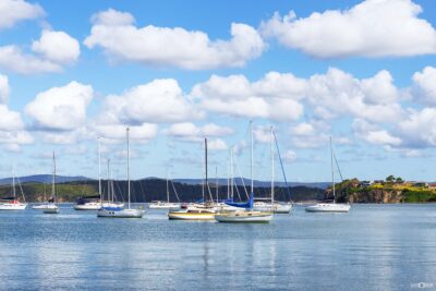 Lake Macquarie sailing Boats during the daylight