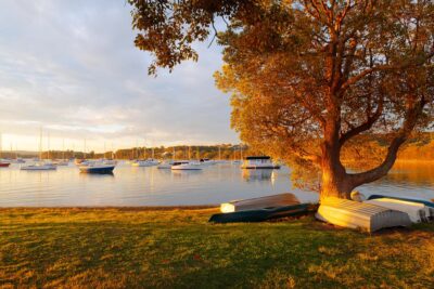 Valentine afternoon light landscape image