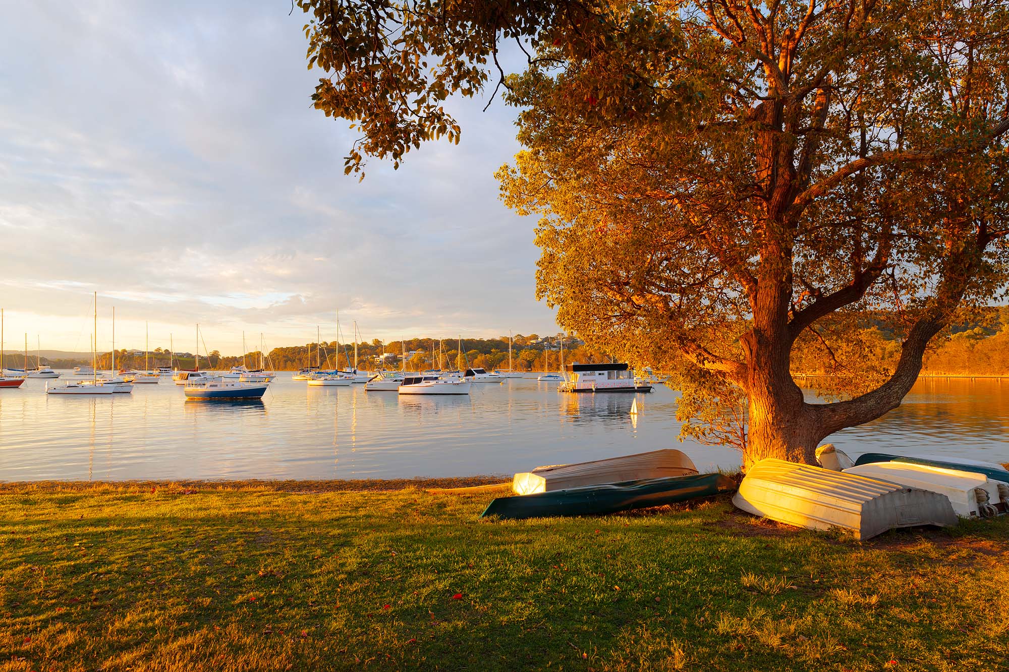 Valentine afternoon light landscape image