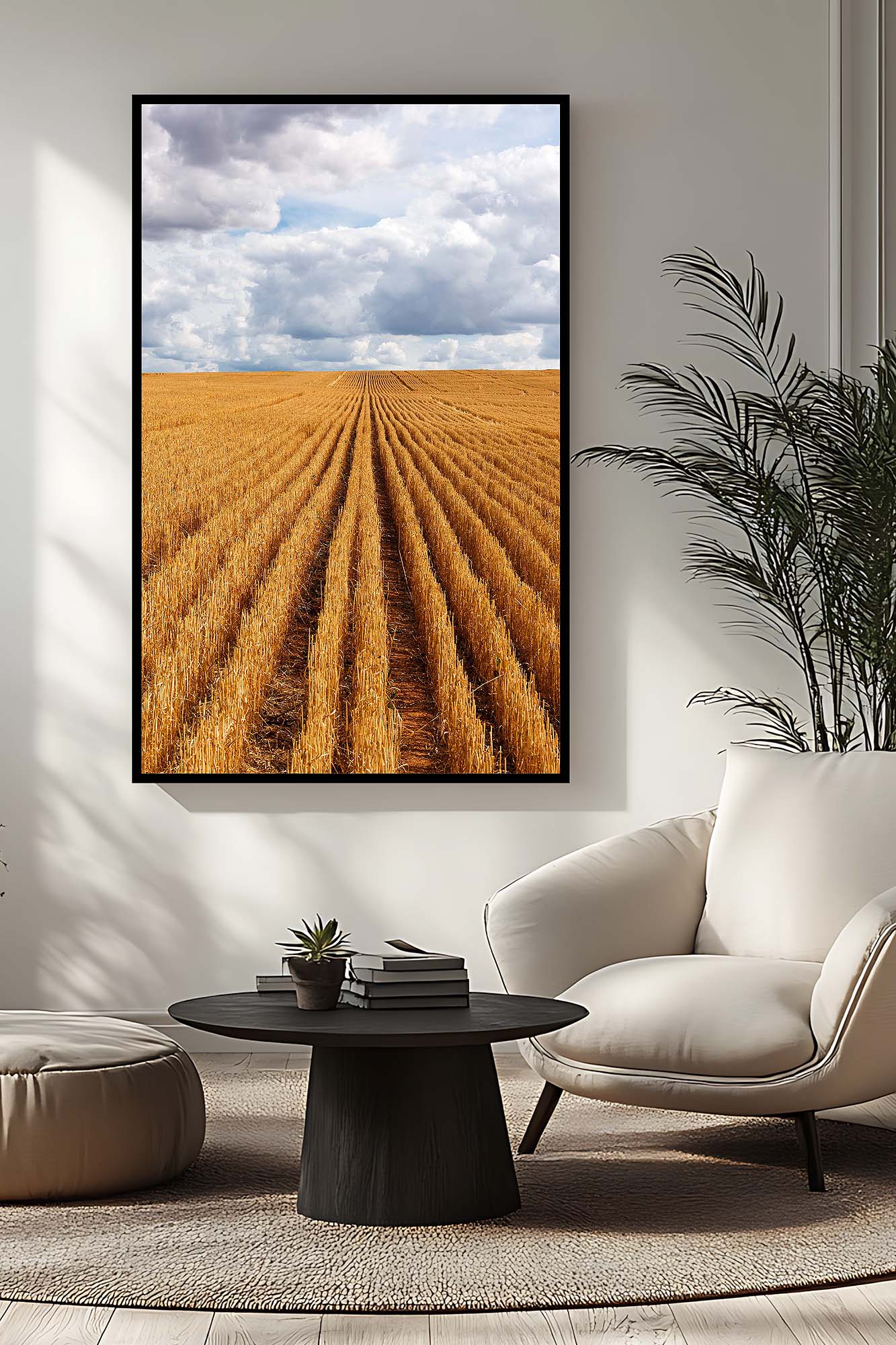 Australian rural farmland showing golden crop stubble after harvest on a clear sunny day, capturing the textures and patterns of the post-harvest landscape.