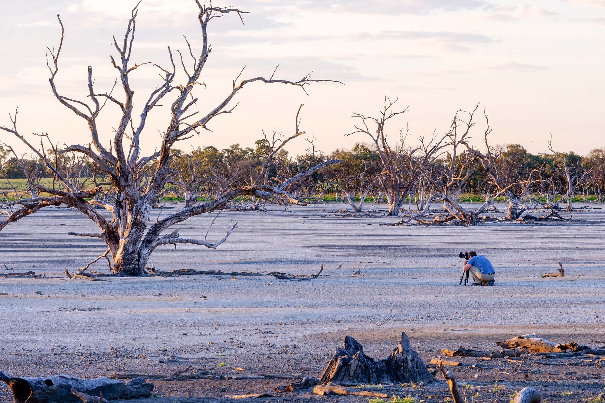 david-diehm-landscape-photography-country-wetlands-australian-prints.jpg