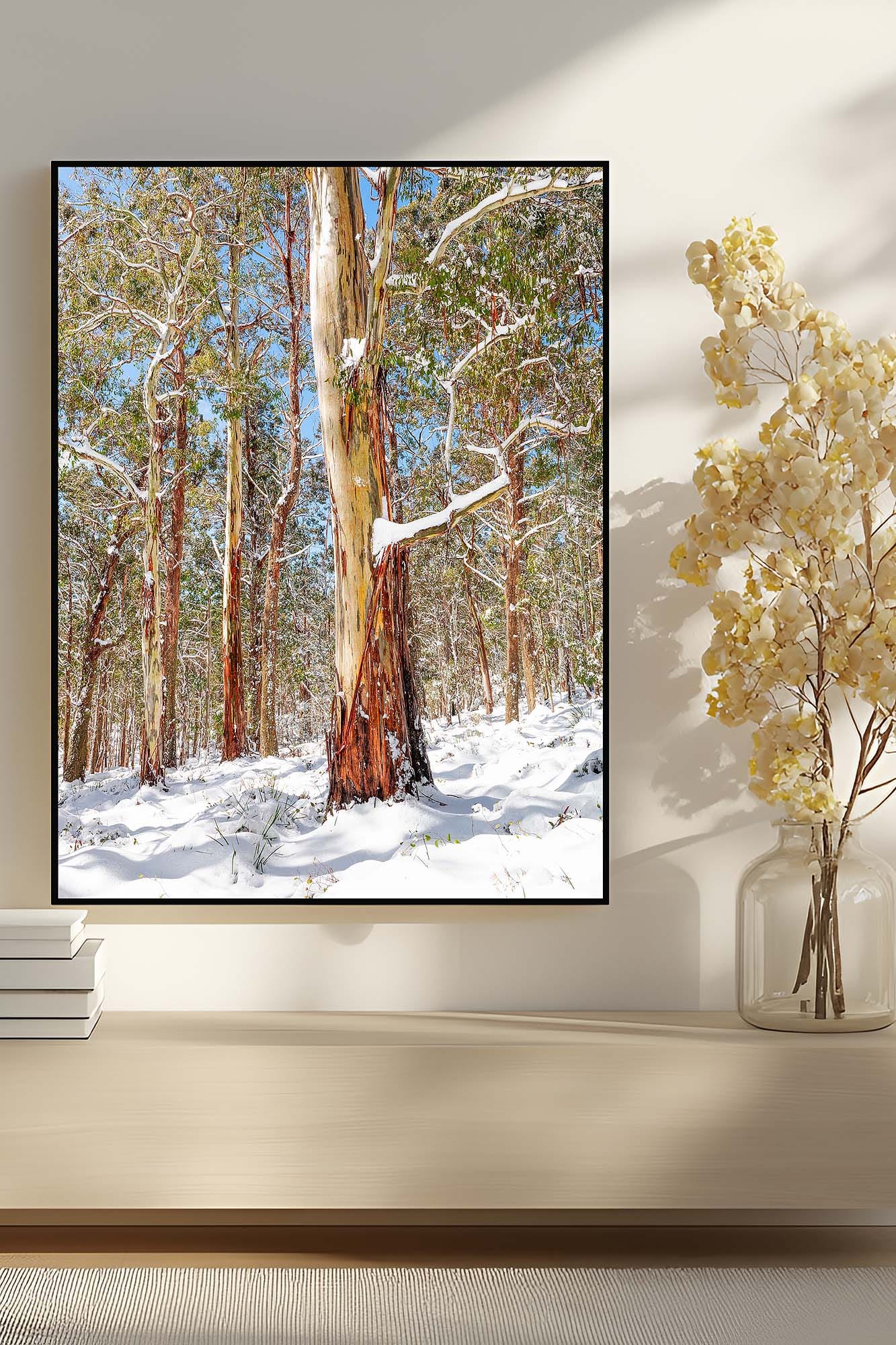hallway-wall-art-snow-gumtree-australian-landscape.jpg Entryway interior featuring Australian snow gumtree wall art adding contrast and visual impact