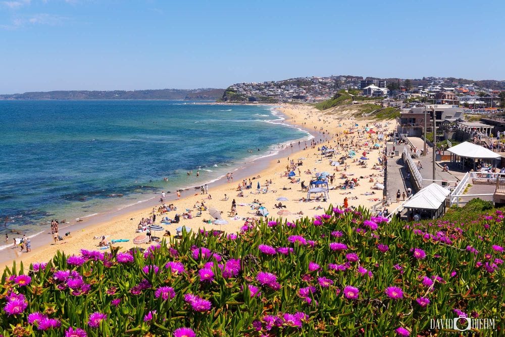 Bar Beach Newcastle crowded with visitors enjoying a summer day on one of Newcastle's most popular beaches