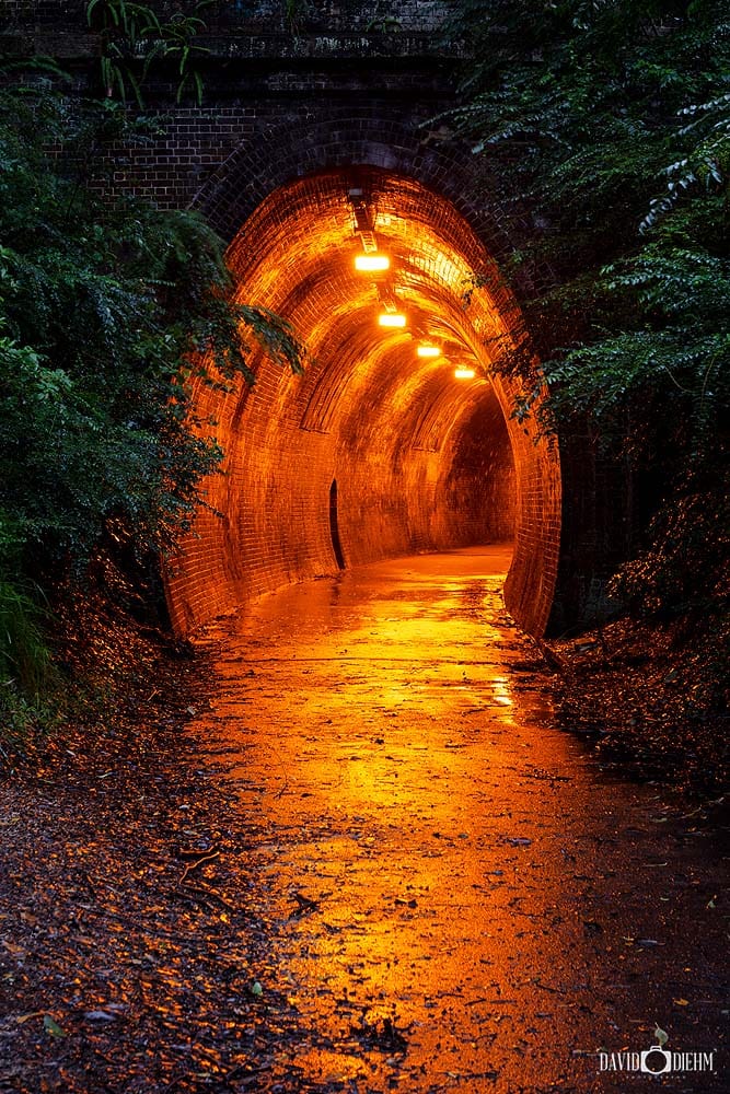 Fernleigh Track tunnel at dawn with illuminated lights leading through the historic railway tunnel near Newcastle NSW, captured as fine art landscape photography.
