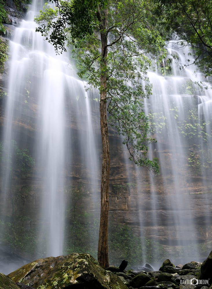 Gap Creek Falls cascading through lush rainforest in Watagans National Park NSW