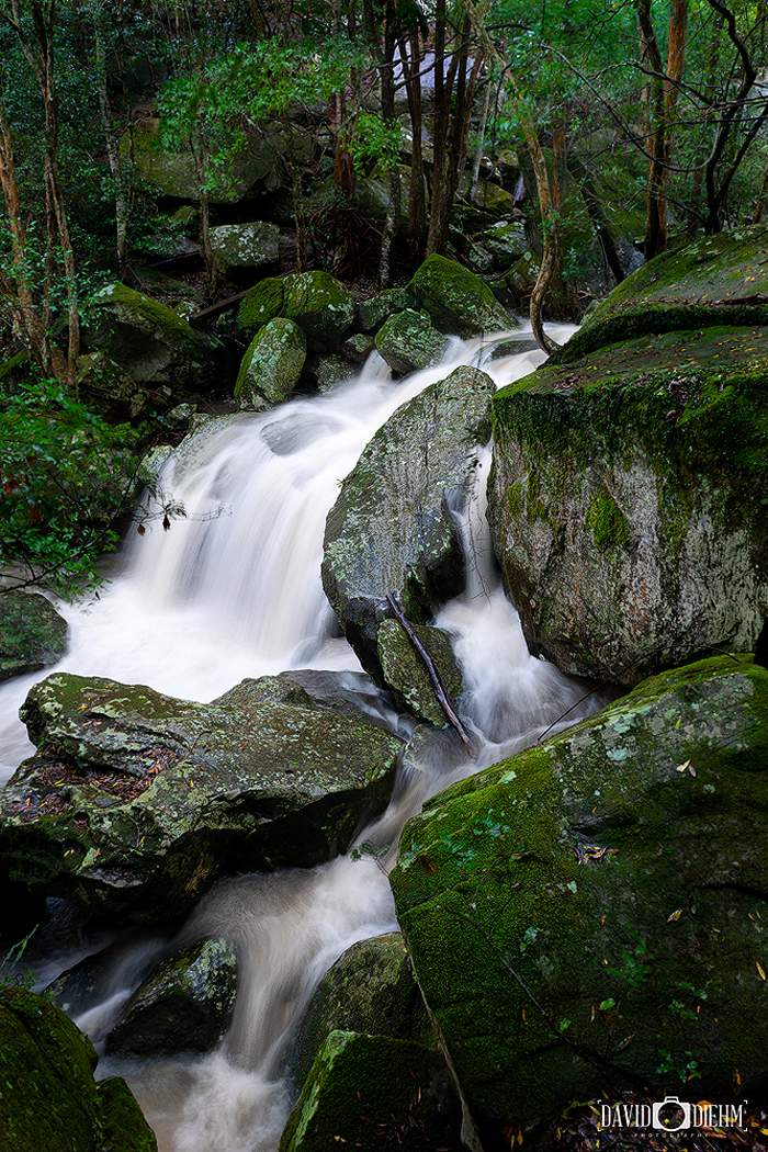 Glenrock Falls surrounded by rainforest and sandstone boulders in Glenrock State Conservation Area Newcastle