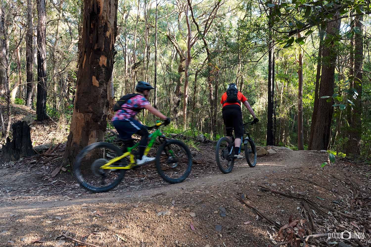 glenrock-mountain-bike-trails-newcastle.jpg Mountain bikers riding through the forest trails in Glenrock State Conservation Area, Newcastle, NSW.
