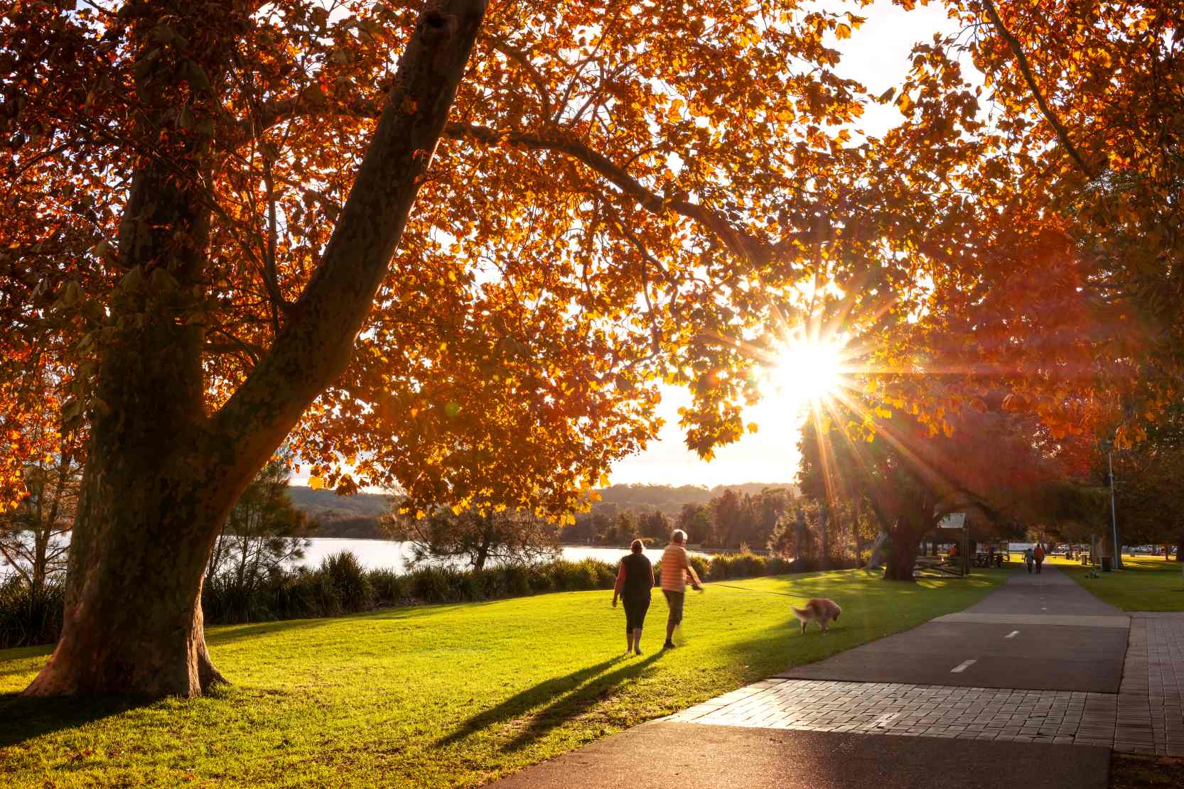 Visitors walking beneath autumn trees along the waterfront at Speers Point Park in Lake Macquarie NSW