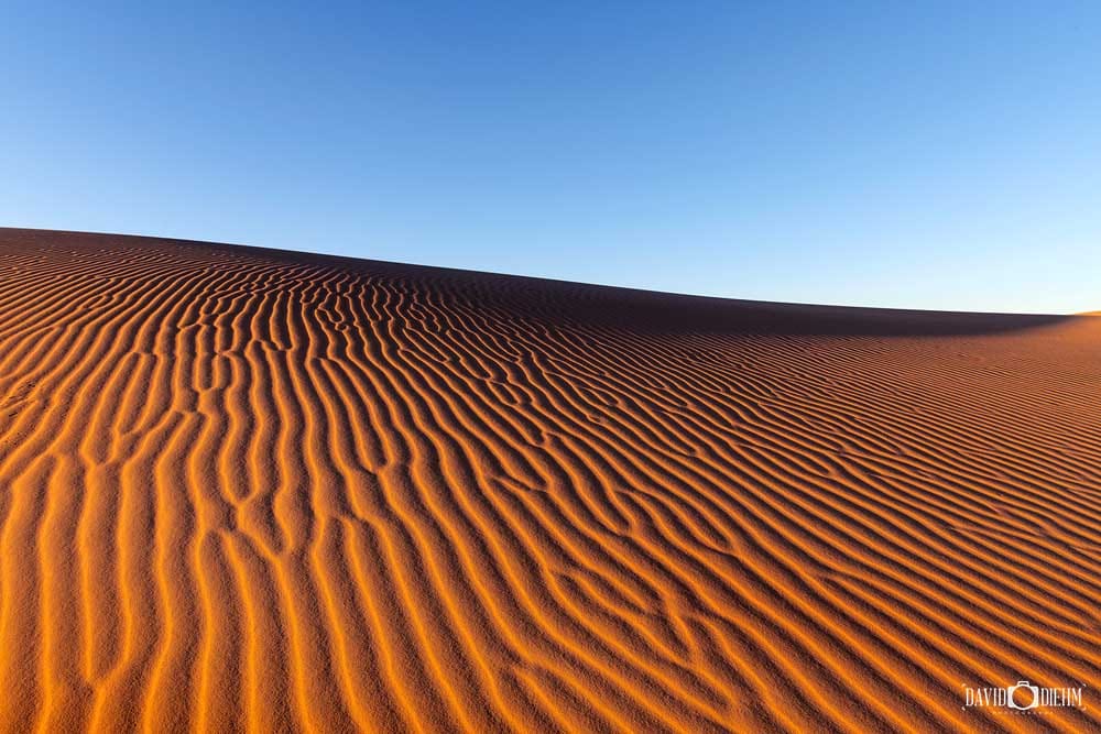 Wind-sculpted sand patterns across the Stockton Sand Dunes near Newcastle in the Worimi Conservation Lands