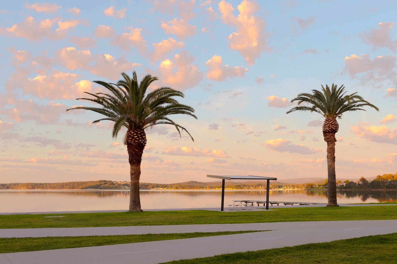 Palm trees and lakeside foreshore at Warners Bay overlooking Lake Macquarie NSW