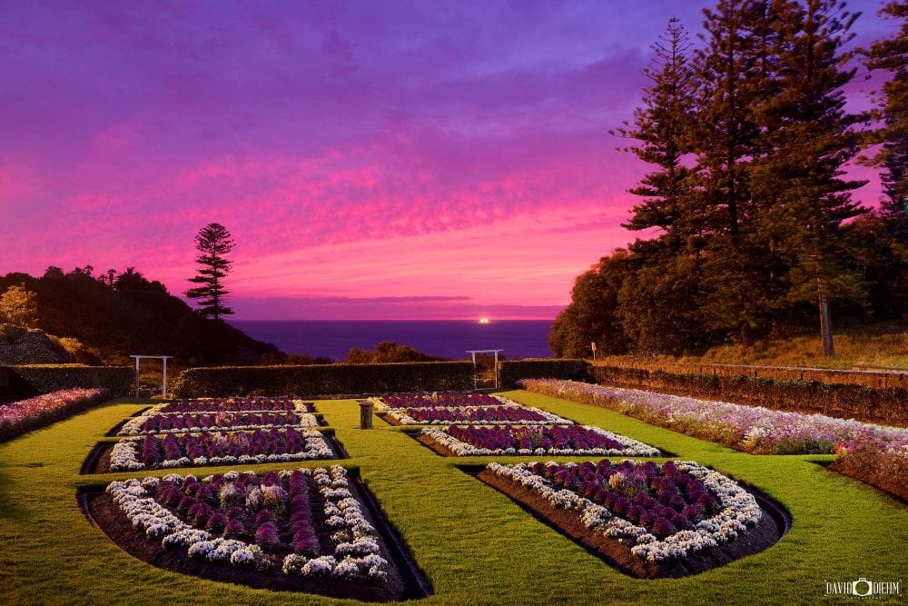 The historic Sunken Garden in King Edward Park at sunrise, overlooking the Pacific Ocean beneath vibrant pink and purple skies in Newcastle NSW.