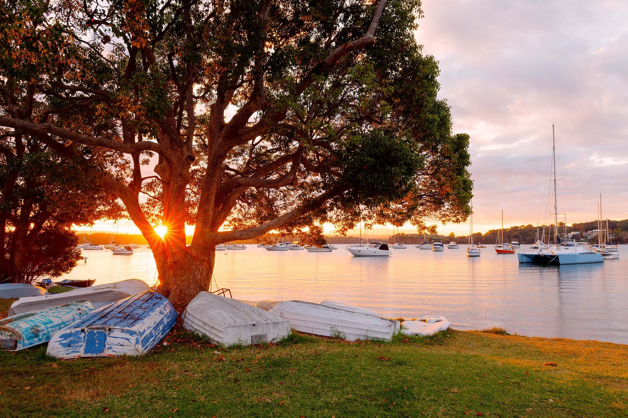 Sunstar shining through lakeside trees at sunset with boats resting on the calm waters of Lake Macquarie.