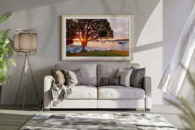 The Day's Last Light wall art featuring a sunset sunstar through lakeside trees with boats on Lake Macquarie.