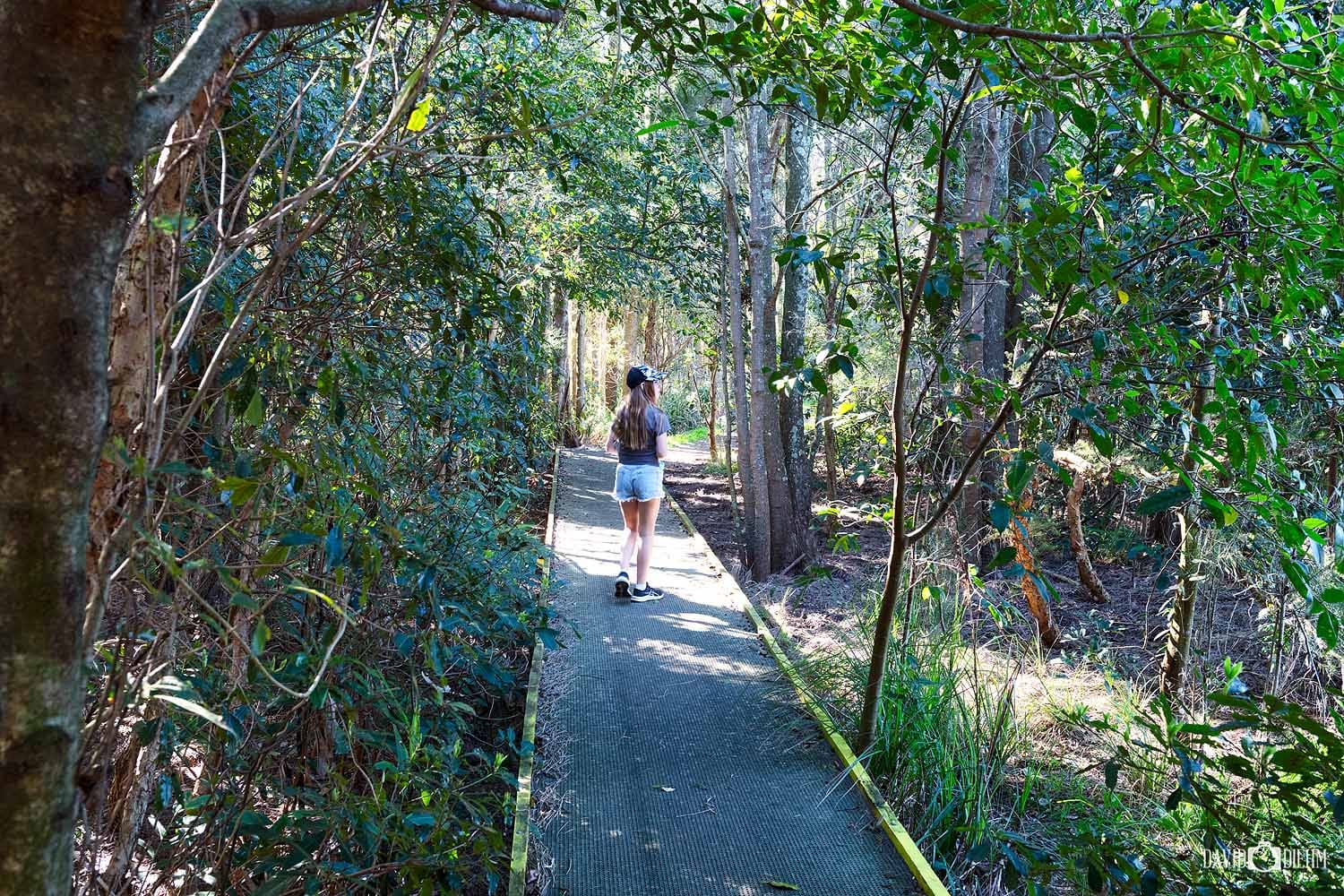 Walking trail winding through native bushland at the Hunter Wetlands Centre in Newcastle.