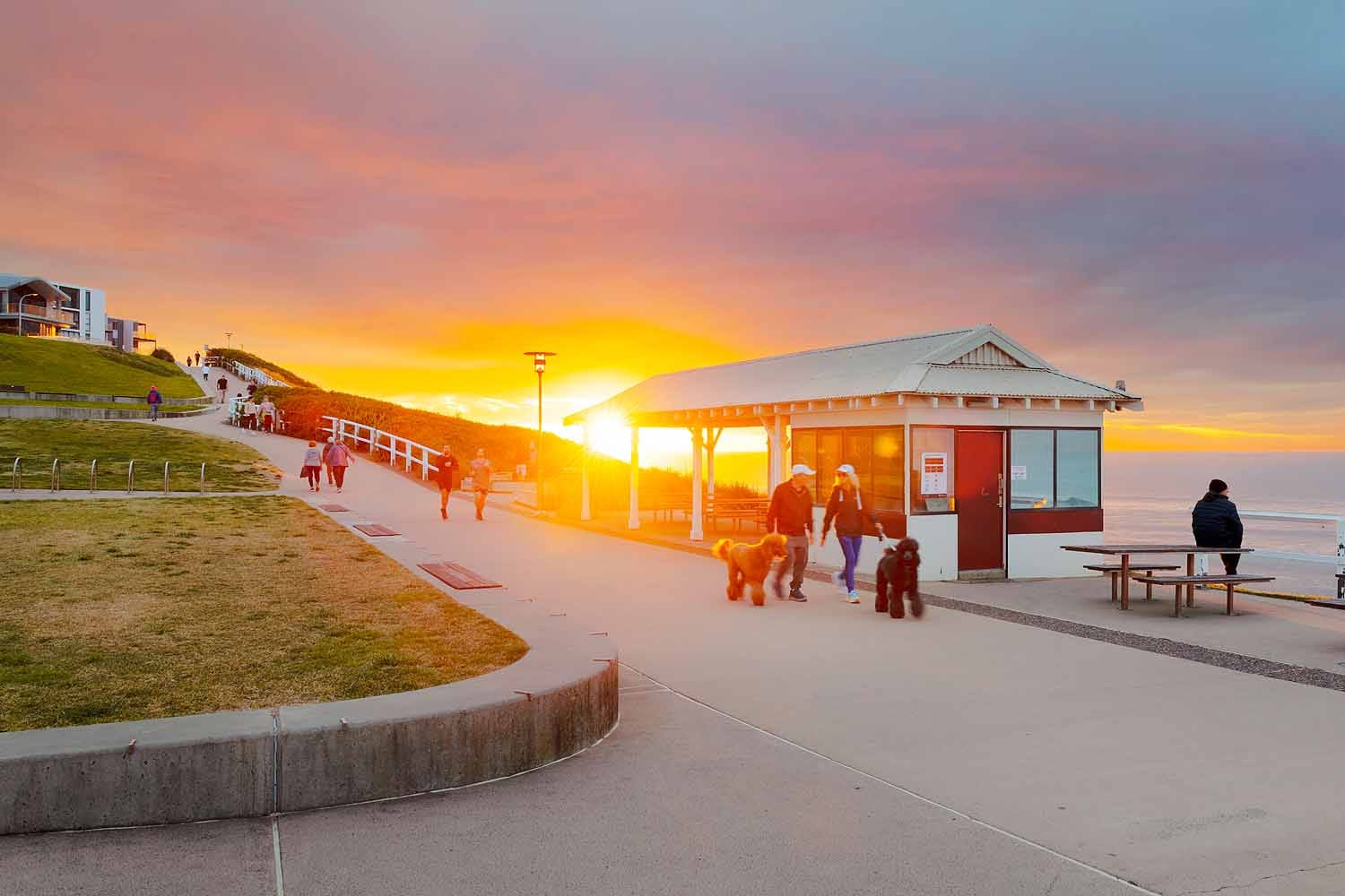 Walkers and dog owners enjoying sunrise near Dixon Park Beach along the Bathers Way Coastal Walk in Newcastle.