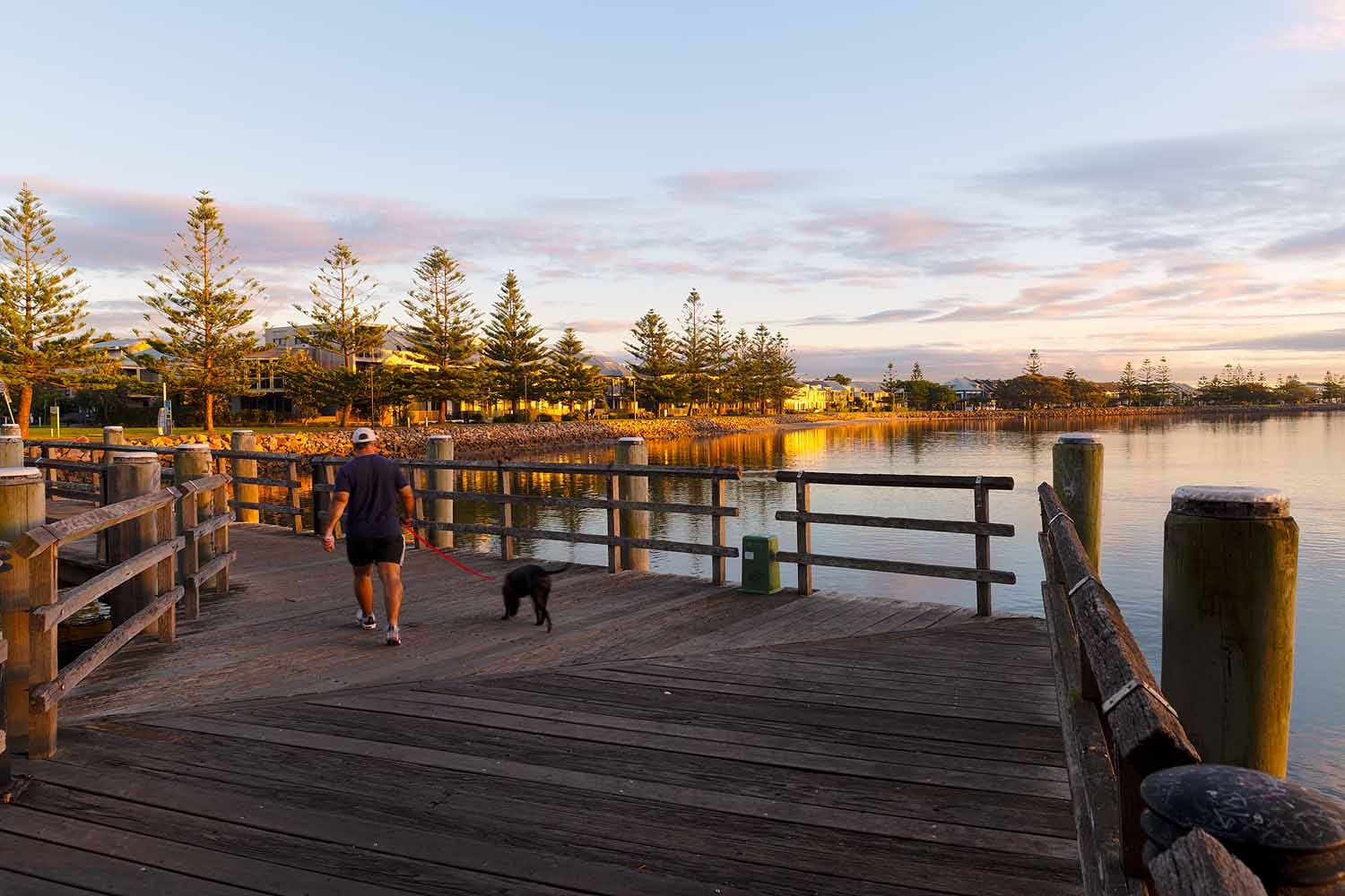 Person walking a dog on the wharf overlooking Throsby Creek in Newcastle.