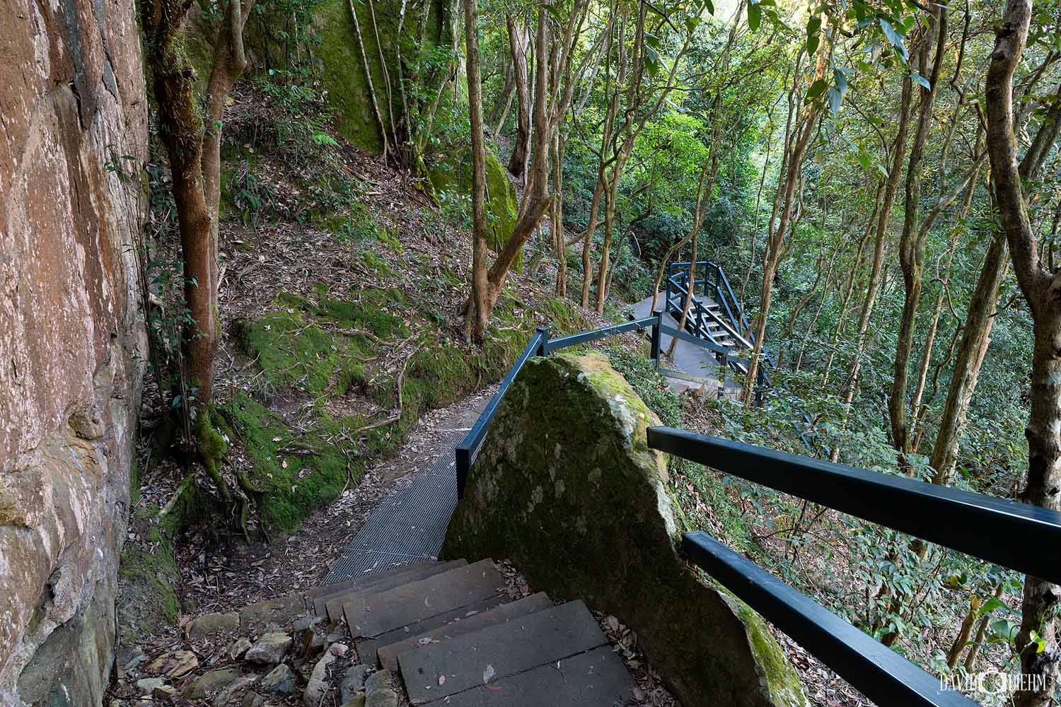 Stone steps and boardwalk passing beneath the sandstone escarpment on the Yuelarbah Walking Track in Glenrock State Conservation Area, Newcastle NSW.