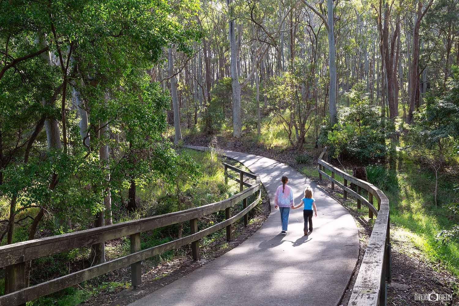 Boardwalk winding through native bushland at Green Point Reserve on Lake Macquarie.
