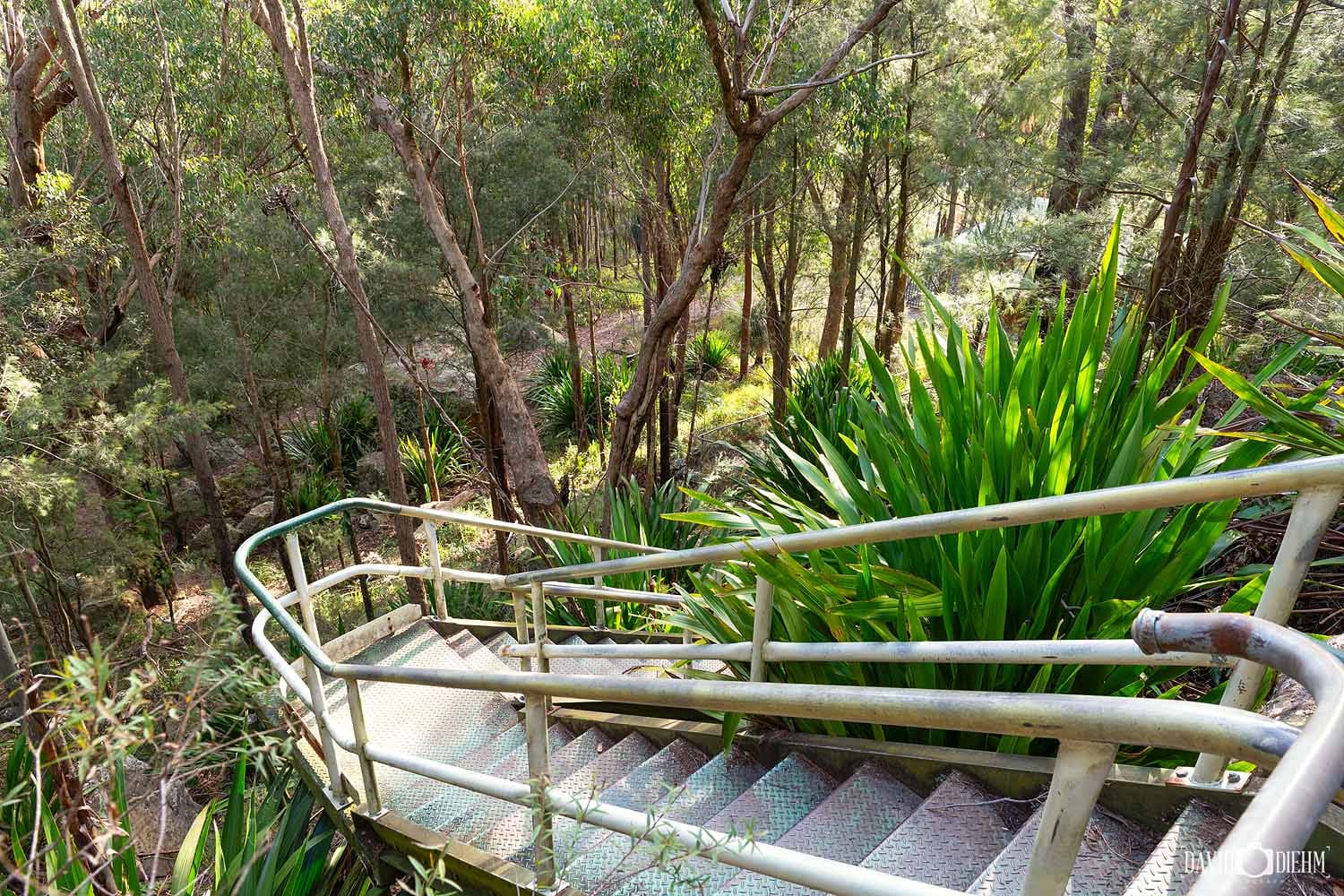 Steel staircases leading to the Mount Sugarloaf summit through native bushland in Sugarloaf State Conservation Area near Lake Macquarie.