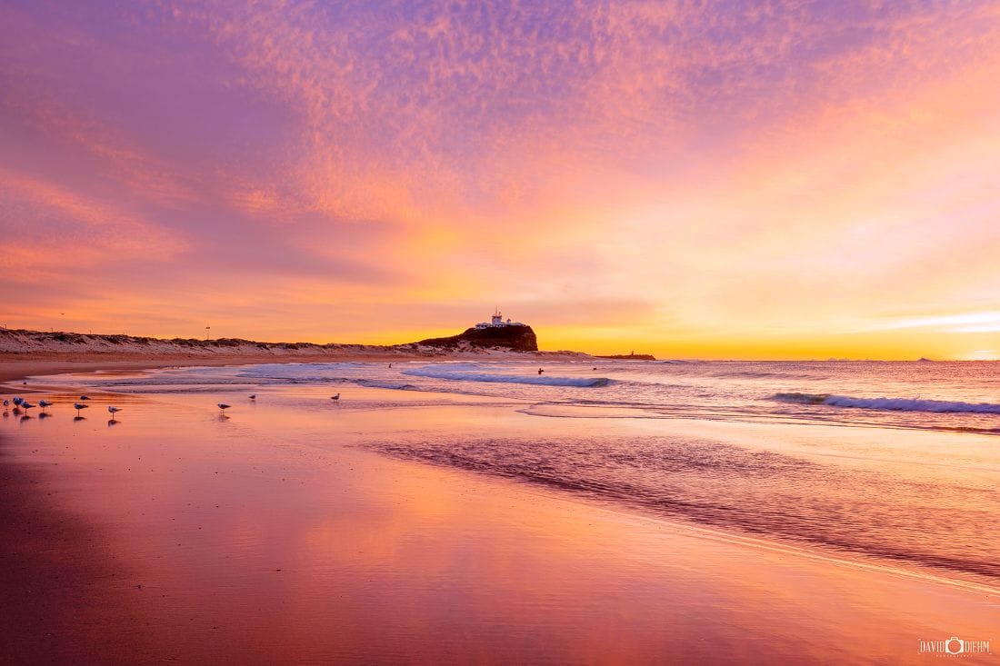 nobbys-beach-sunrise-newcastle-nsw.jpg Sunrise over Nobbys Beach and Nobbys Lighthouse in Newcastle NSW with colourful reflections on the shoreline.