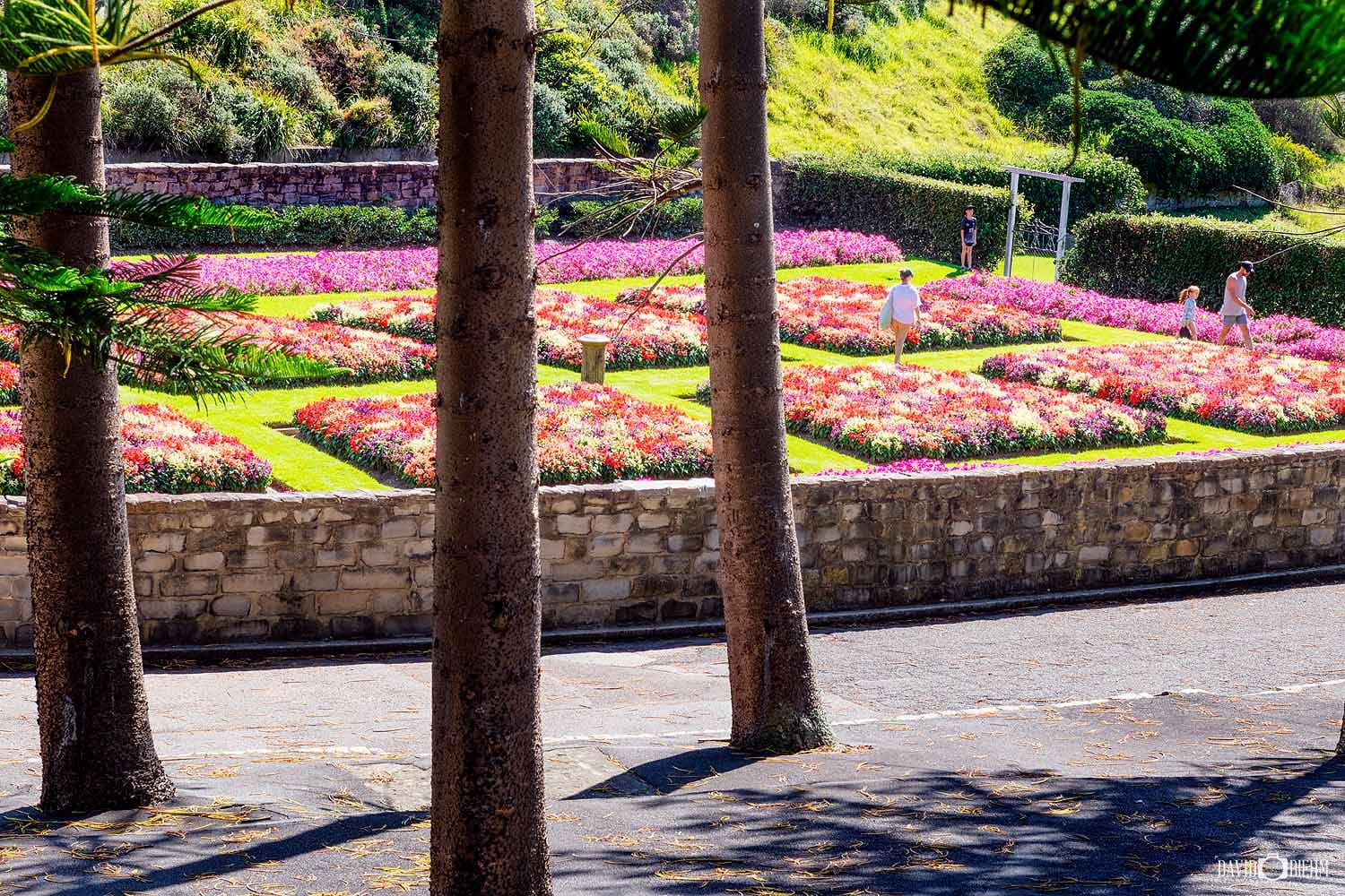 The colourful Sunken Garden in King Edward Park, Newcastle.