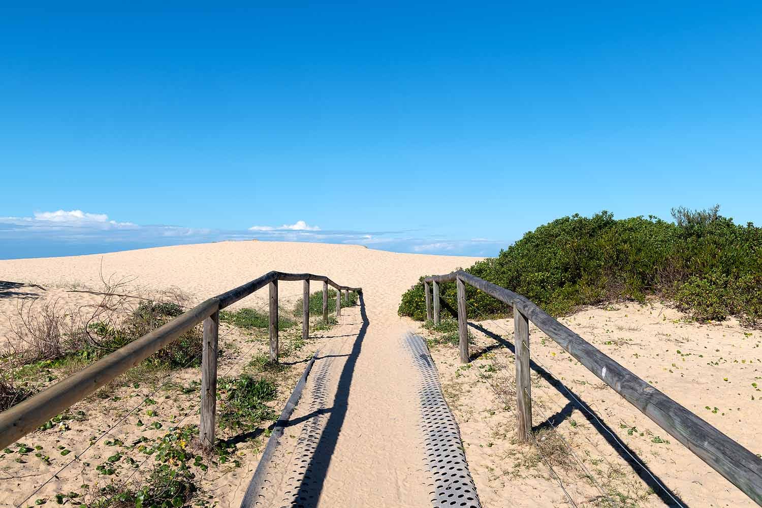 Boardwalk leading through the sand dunes to Redhead Beach from the Ken & Audrey Owens Walk.