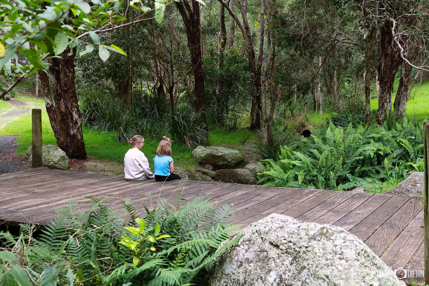 Children sitting on the timber boardwalk at Richley Reserve in Blackbutt Reserve, Newcastle NSW.