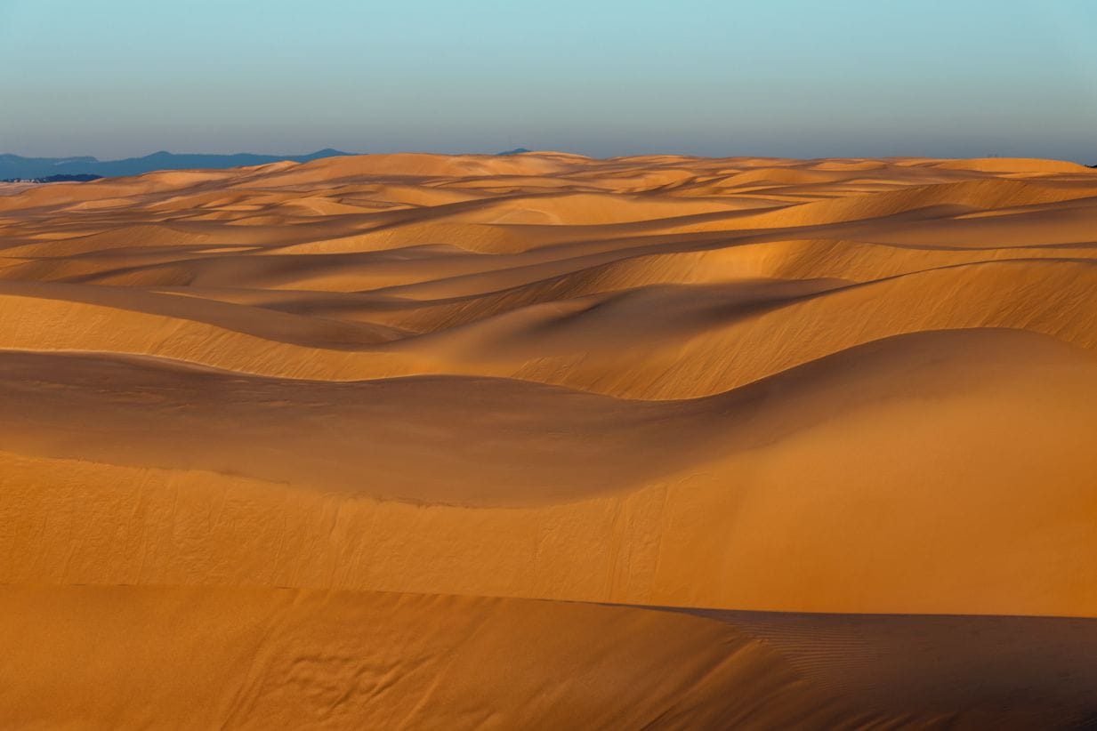 stockton-sand-dunes-newcastle-nsw.jpg Golden sand dunes at Stockton Beach, home to the largest moving coastal dune system in the Southern Hemisphere.