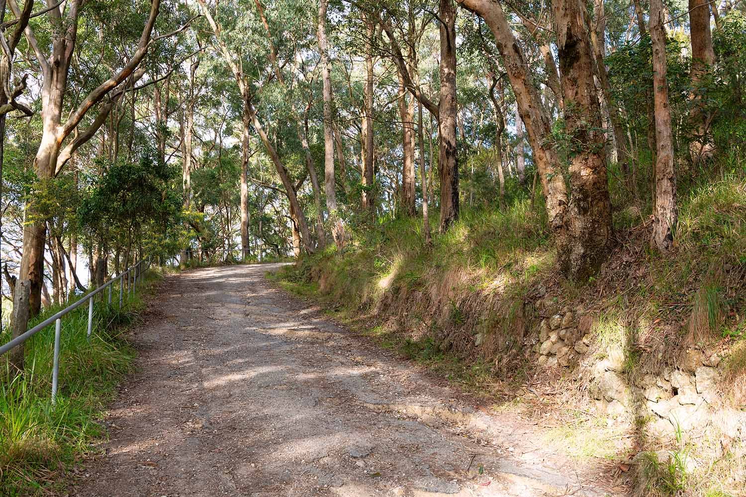 Walking track winding through native bushland on the Mount Sugarloaf Summit Walk near Lake Macquarie.