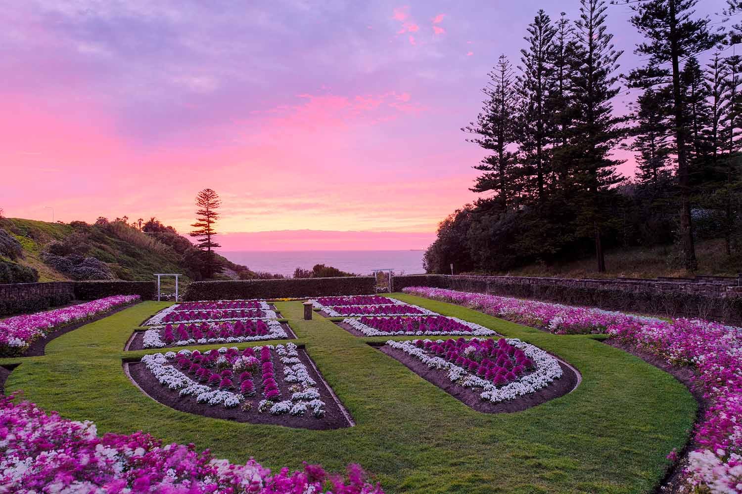 Sunrise over the historic Sunken Garden at King Edward Park in Newcastle NSW overlooking the Pacific Ocean.