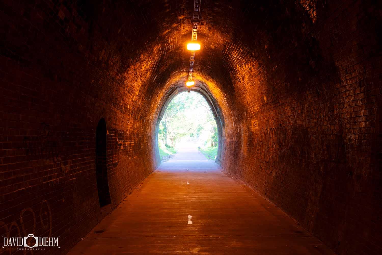 Inside the historic Fernleigh Track Tunnel on the Fernleigh Track in Newcastle, NSW.