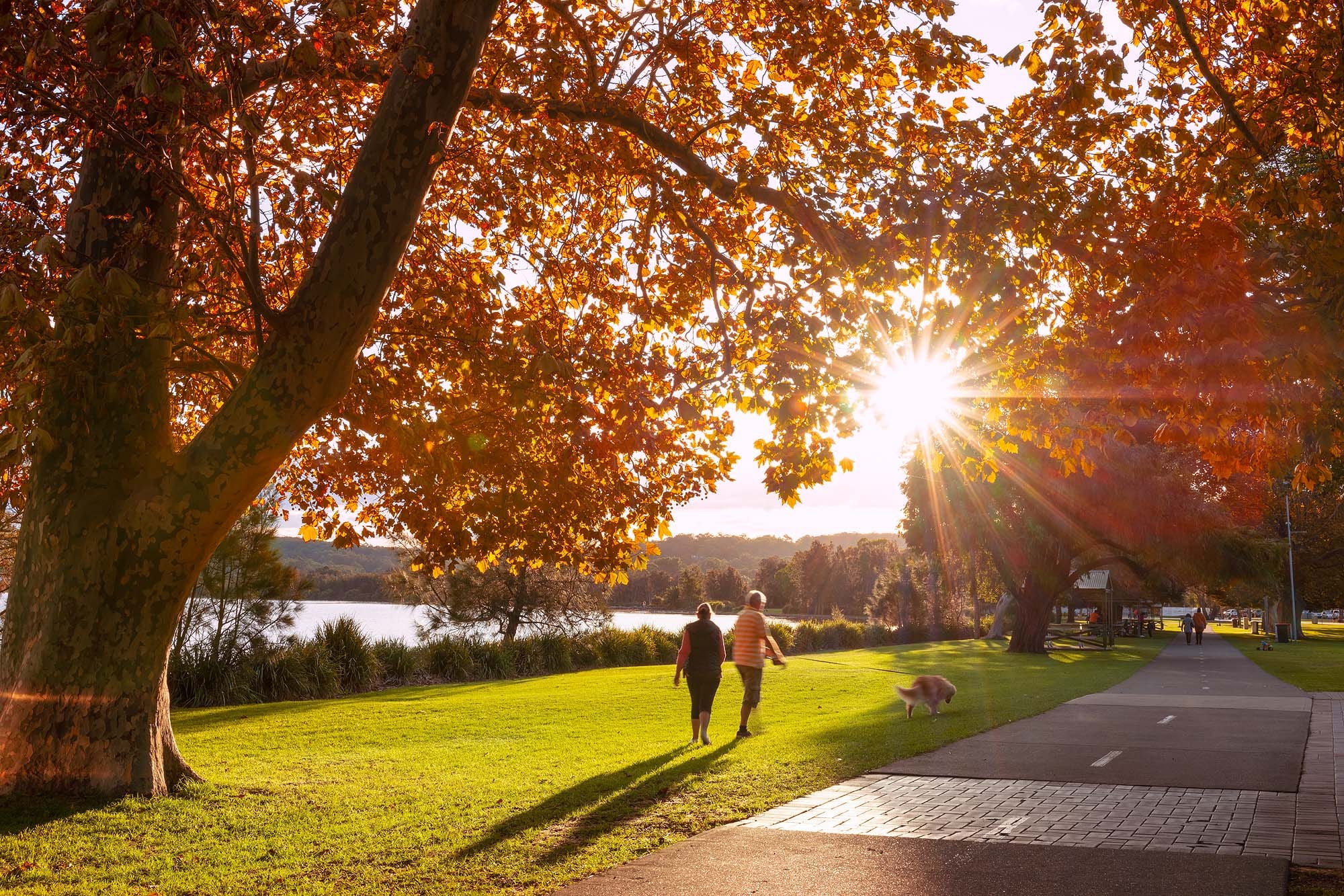 Walkers enjoying an autumn afternoon along the Lake Macquarie foreshore pathway, one of the region's most popular walking destinations for lakeside views and outdoor recreation.