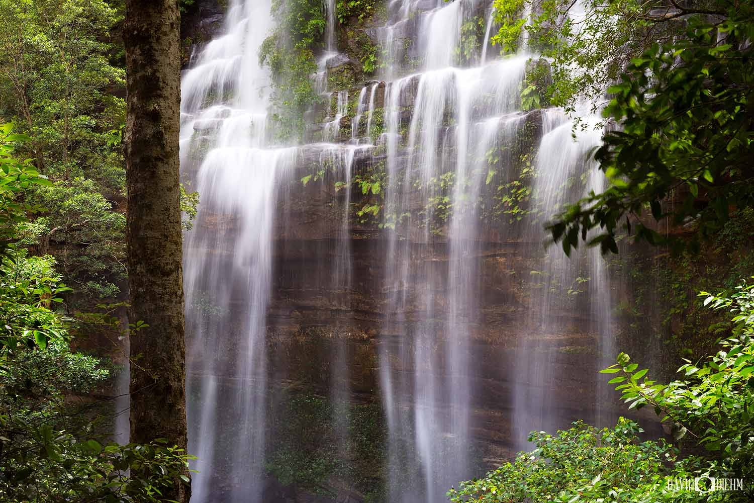 Gap Creek Falls flowing over a sandstone cliff in Watagans National Park near Lake Macquarie NSW.