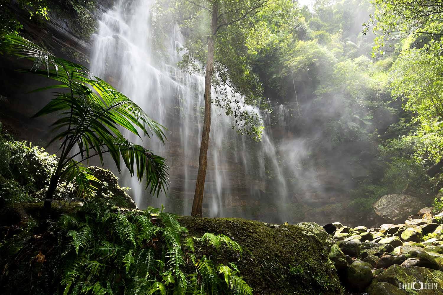 Gap Creek Falls cascading through lush rainforest in Watagans National Park near Lake Macquarie NSW.