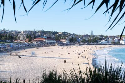Elevated view of Bondi Beach in Sydney framed by coastal pandanus trees on a busy summer afternoon.